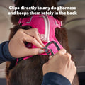 PetSafe Safety Seatbelt Tether Adjustable Dog Seat Belt for Car Works with Any Harness Carabiner Clip, Black - 1 Tether Included