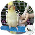 Sweet Feet and Beak Comfort Grip Safety Bird Perch, Large Pedicure Perch