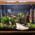 10 PCS Natural Honeycomb Wood 2-4", Porous Aquarium Driftwood