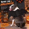 Rypet Dog Bat Wings Costume L, Dog Bat Costume for Halloween Cosplay Party