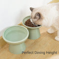 CEEFU 2 Elevated Ceramic Cat Bowls Extra Wide for Food & Water – Whisker Fatigue Shallow Food Dish, Lead & Cadmium-Free, Raised Height for Cats, Sage Green