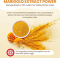 Golden Yolk Daily Egg Booster for Chickens - 1 LB Whole-Food Chicken Vitamins and Supplements - 13 Herbs with Marigold L