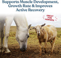 Manna Pro Calf-Manna, Multi-Species Performance Supplement for Livestock, Poultry, Cattle, Goats, Rabbits, Swine, Horses & Deer, High-Protein Animal Feed Additive for Growth, Weight Gain, 10 lb Bag