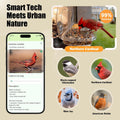 Smart Window Bird Feeder with 2K Camera & AI Identification, Strong Suction Cup Mount, All-Weather Design, Real-Time Alerts, Easy to Install, for Apartments & Homes, for Bird Lovers
