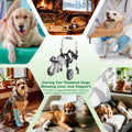 Dog Wheelchair for Back Legs，Adjustable Pets Cart Mobility Aids for Little Pets,Chest & Thigh Support,Suitable Small Med