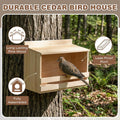 Briwooody Wooden Open Mourning Dove Nesting Box for Outside Dove Bird House