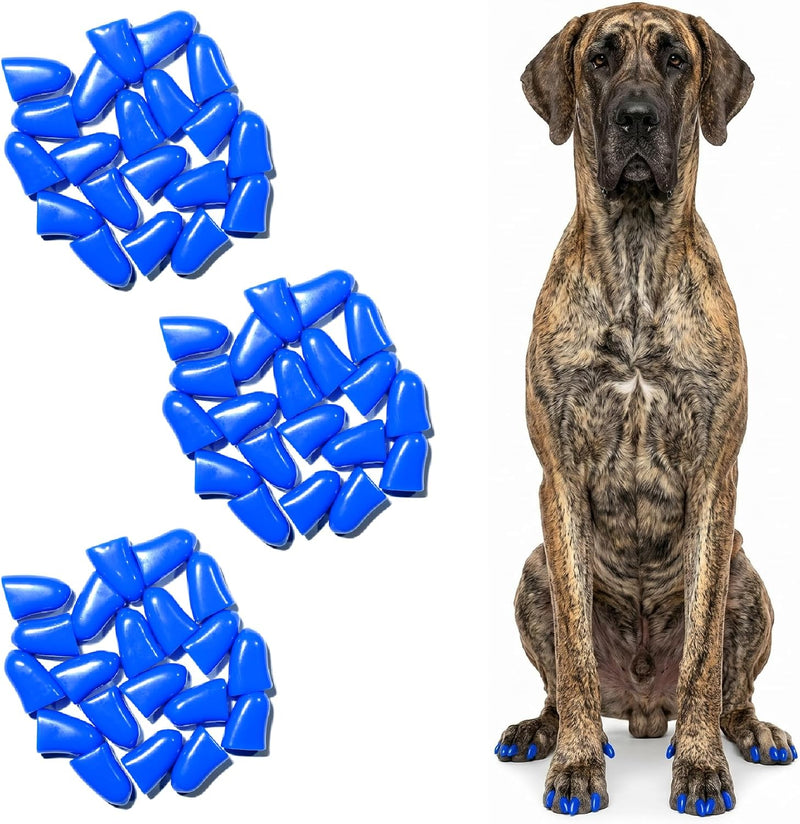zetpo Dog Nail Caps & Claw Caps (60 pcs) - Anti Slip Dog Toe Grips & Covers for Hard Floors - Instant Traction & Mobilit