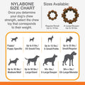 Nylabone Textured Ring Power Chew Toy for Large Dogs, Durable Dog Toys for Aggressive Chewers, Strong Dog Chew Bones To Keep Them Busy, Flavor Medley, X-Large - 50+ lbs, 1 Count