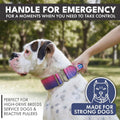 Spark Paws Tactical Large Dog Collar w/Handle - Thick & Wide, Heavy Duty