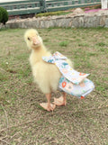 Duck Diapers, Chicken Diapers, Special Diapers for Poultry, Chicken, Duck and Goose Waterproof, Adjustable, Washable and