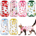 Kacctyen 6 Set Cat Recovery Suit After Surgery Female and Male Cat Kitten Surgery Suit E Collar Alternative Pajama Kitty Clothes for Spay Abdominal Skin Anti Licking(Fruit,Small)