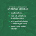 Green Groom Dog Shampoo Plus Conditioner, 1 Gallon | All Natural Ingredients, Detangles and Strengthens, Renews Moisture, 2 in 1, Detangler, Dematting