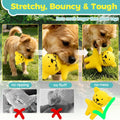 LECHONG 5 Pack Latex Dog Toys for Small Dogs – Squeaky Squeeze Toys, Puppy Teething Chew Toys, Soft Rubber Pet Toys, 4.7