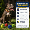 INSUM Tennis Balls for Dogs - 12 Pack 2.5'' Durable Non-Toxic Outdoor Dog Toys Balls with Mesh Bag, SGS Certified, Colorful Fetch Toys, Medium Large Breeds (Non Squeaky)