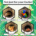 SunGrow Crested Gecko, Snake & Ball Python Coco Hut, Treat & Food Dispenser, Climbing Porch, Hiding, Ideal for Reptiles,