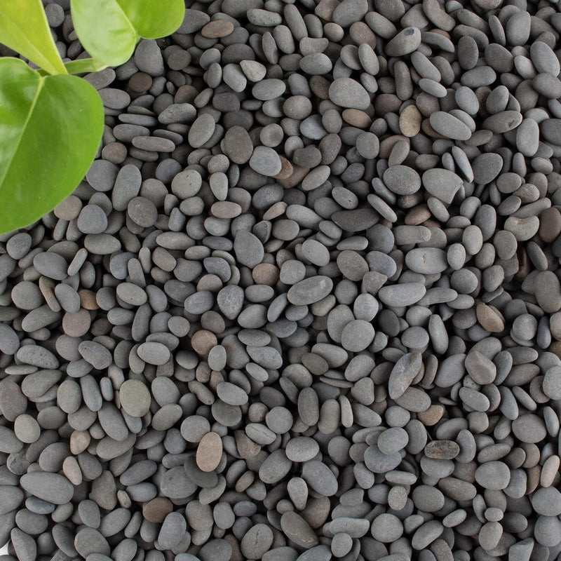 Black Rock, CJGQ 18lb River Rocks Pebbles for Plants Succulents, Decorative Outdoor Landscaping Garden Rocks, Natural Sm
