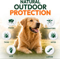 Flea and Tick Prevention for Dogs Pills - 170 Soft Chewables - Oral Defense