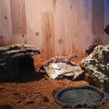 2 Pack Shallow Reptile Food Bowls, Reptile Feeding Terrarium Bowls for Bearded Dragon Lizard Frog Gecko Tortoise Hermit 
