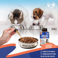 Probiotics & Prebiotics with Enzymes for Dogs and Cats - Digestive Gut Flora Health Pet Food Supplements - Constipation & Diarrhea and Gas Home Remedy - Upset Stomach Relief