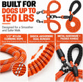 No Tangle Double Dog Leash: 95% Fewer Stops to Untangle for Walking 2 Dogs