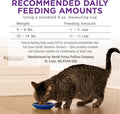 Purina Cat Chow Gentle Sensitive Stomach and Skin Dry Cat Food with Turkey - 13 lb. Bag