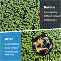 PAGOW 10pcs Fish Feeding Rings Set, 5 Sizes Floating Aquarium Plant Corral