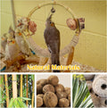 Circle Bird Swing with Bell,Bamboo Parakeet Rope Perches for Cage Ring Bird Swings Chewings Nuts Toys for Parrots Cockat