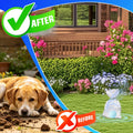 Dog Repellent for Yard, Dog Repellent Outdoor & Indoor, 10 Packs