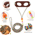 LIKZINWA Bearded Dragon Lizard Leash Harness,4 Size Pack Adjustable Small Animal Harness for Reptile and Small pet (Brow
