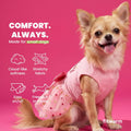 Fitwarm Birthday Girl Dog Tulle Dress, Dog Clothes for Small Dogs Girl, Cat Apparel, Pink, Small