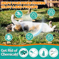 Flea and Tick Prevention for Cat, Flea Drops with Vitamins Fish Oil 2 fl oz