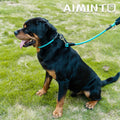 Dog Leash, Braided Rope Traction – Walking Training Lead for Medium/Large Dogs ((1/2") x 6FT, Light Blue)