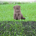 Repellent Outdoor Cat Scat Mat (Set of 12) Repellent Scat Mat with Plastic Spikes Repellent Indoor & Outdoor for All Sea