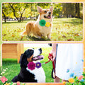 Hoteam 50 Pcs Dog Collar Flowers Bows Accessories