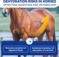 Horse Electrolytes Powder, Electrolyte for Horses with Sodium & Potassium, Equine Hydration Supplement 420g