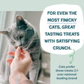 Shameless Pets Crunchy Cat Treats - Variety Pack, 3-Pk