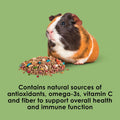 Kaytee Fiesta Guinea Pig Food, Nutritious Blend, 4.5 Pounds