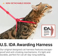 BuddyArmor Cat Harness and Leash 2-in-1, Escape Proof Anti-Choking Harness Adjustable Lightweight Leash One-Piece Non-Detachable for Kitten Cats Walking Outoor Training, US IDA Bronze Award (Pink)
