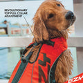 EzyDog DFD X2 Dog Life Jacket, Grab Handle, Reflective Trim - Large
