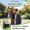 Silver Lining Herbs Horse Joint Supplement - Mobility & Comfort