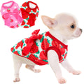 2 Pieces Dog Sweater for Small Dogs XXS Dog Clothes Chihuahua Puppy Sweaters Strawberry Teacup Chihuahua Yorkie Puppy Clothes XXS Pet Sweater (Strawberry, XX-Small)