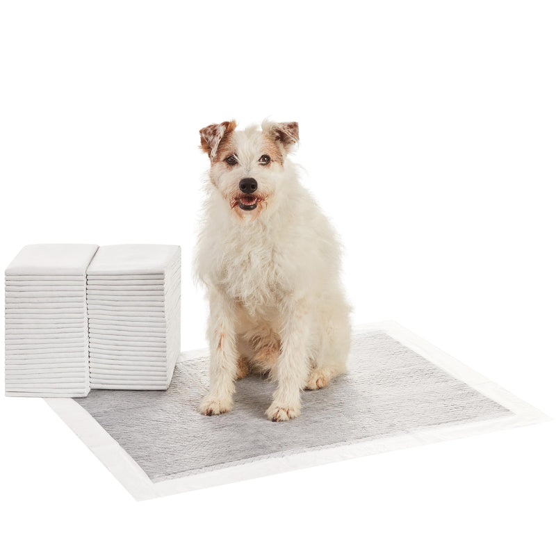 Amazon Basics Carbon Odor Control Dog and Puppy Pee Pads, 5-Layer Leak-Proof Super Absorbent, Quick-Dry Surface for Potty Training and Housebreaking, X-Large Size 28