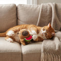 SPOT Capybara with Watermelon Plush Cat Toy, Fully Stuffed Toy with Soft Plush & Crinkle Inside, Made with Catnip and Si