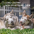 Downtown Pet Supply Bully Sticks for Dogs - Natural 6 Inch Beef Chews, Odor-Free & Rawhide-Free, Long Lasting Dog Treats