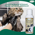 Mad About Organics Oatmeal Shampoo for Cats & Small Pets – Gentle, Balanced Formula for Skin & Coat Health – Comforts Dry Skin Care for Small Pets 4 Weeks & Up, Including Pregnant Pets – 4 oz