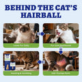Wellix 120ml Cat Hairball Remedy Drops, Hairball Treatment & Relief for Cats, Natural Cat Furball Control Treats with Psyllium Husk, Omega 3, Support Skin & Coat, Digestive Health-Chicken Flavor