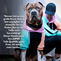 Spark Paws Human Hoodie - Matching Dog and Owner Clothes, Sweatshirt