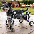 LetPetRun Dog Wheelchair 4 Wheels Adjustable, Full Body Support Dog Cart for Front & Rear Legs, Lightweight Mobility Aid for Disabled Small Dogs