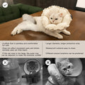 H HIDREAM Soft Cat Cone Collar， Cute Adjustable Cat Recovery Collar，Elizabethan e Collar that can Protect Head and Foot Wounds，Egg White All-Season Style