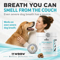 Dr. Woow Fresh Breath Dog Oral Care | Dog Breath Treats | 120 Chews